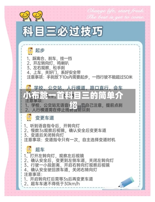 小布跳一首科目三的简单介绍