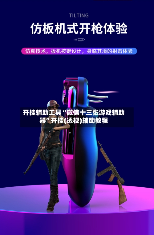 开挂辅助工具“微信十三张游戏辅助器”开挂(透视)辅助教程-第2张图片