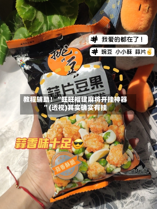 教程辅助！“旺旺福建麻将开挂神器”(透视)其实确实有挂-第2张图片