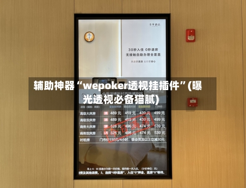 辅助神器“wepoker透视挂插件”(曝光透视必备猫腻)-第3张图片
