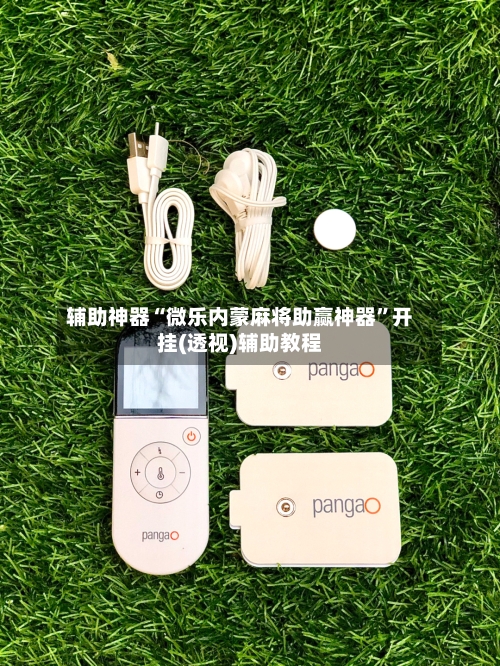 辅助神器“微乐内蒙麻将助赢神器”开挂(透视)辅助教程-第3张图片