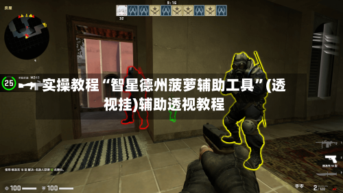 实操教程“智星德州菠萝辅助工具”(透视挂)辅助透视教程