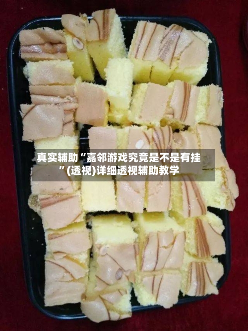 真实辅助“嘉邻游戏究竟是不是有挂”(透视)详细透视辅助教学