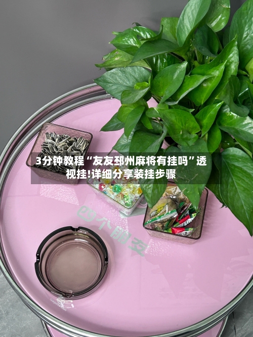 3分钟教程“友友邳州麻将有挂吗”透视挂!详细分享装挂步骤