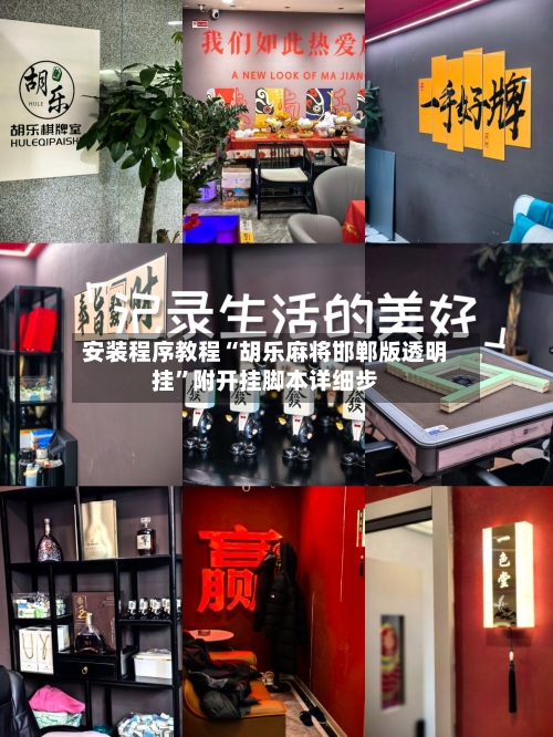 安装程序教程“胡乐麻将邯郸版透明挂”附开挂脚本详细步