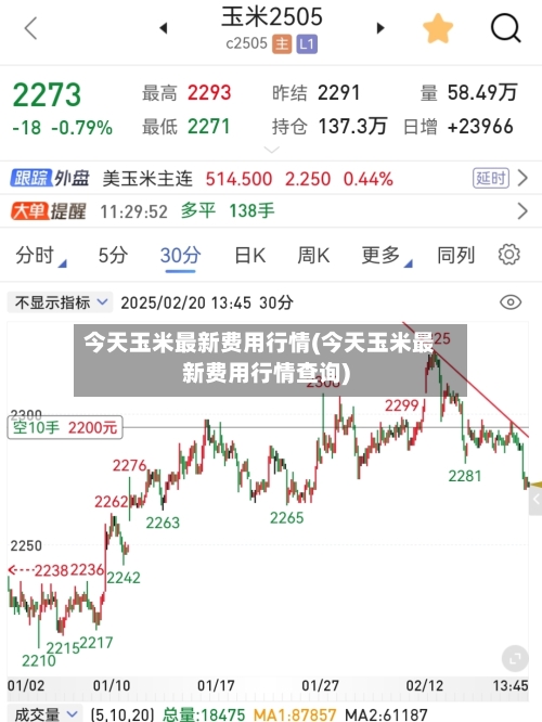 今天玉米最新费用行情(今天玉米最新费用行情查询)-第3张图片