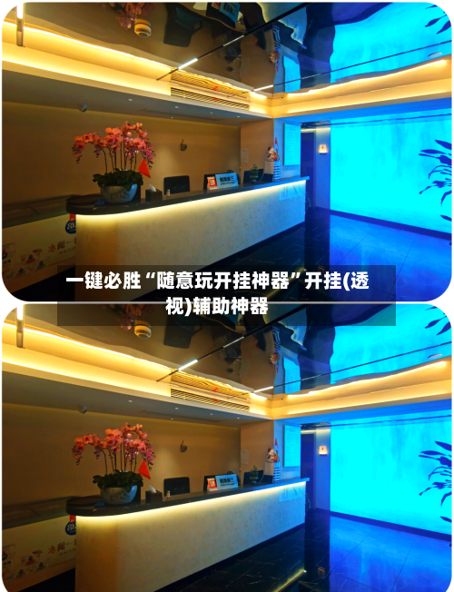 一键必胜“随意玩开挂神器”开挂(透视)辅助神器-第2张图片