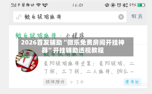 2026首发辅助“微乐免费房间开挂神器”开挂辅助透视教程-第2张图片