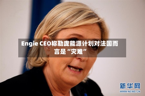 Engie CEO称勒庞能源计划对法国而言是“灾难”