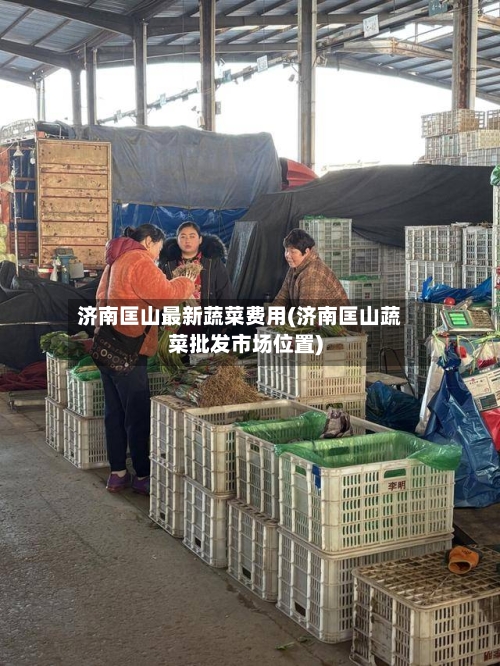 济南匡山最新蔬菜费用(济南匡山蔬菜批发市场位置)