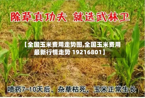 【全国玉米费用走势图,全国玉米费用最新行情走势 19216801】-第2张图片