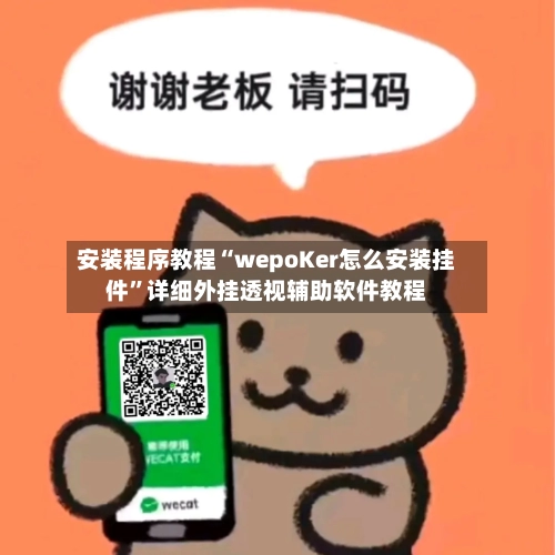 安装程序教程“wepoKer怎么安装挂件”详细外挂透视辅助软件教程