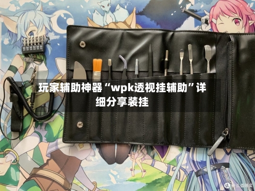 玩家辅助神器“wpk透视挂辅助”详细分享装挂