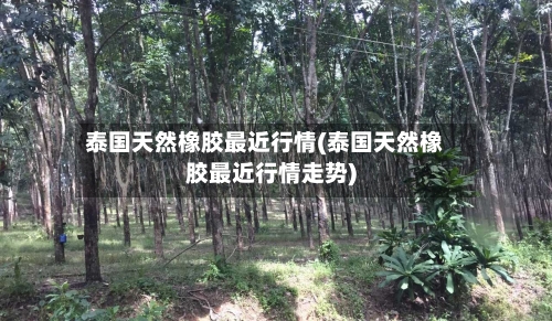 泰国天然橡胶最近行情(泰国天然橡胶最近行情走势)-第3张图片