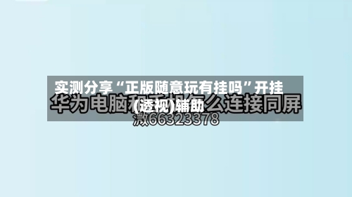 实测分享“正版随意玩有挂吗”开挂(透视)辅助-第3张图片