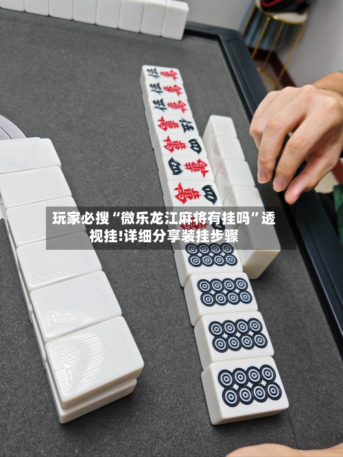 玩家必搜“微乐龙江麻将有挂吗”透视挂!详细分享装挂步骤-第2张图片