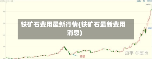 铁矿石费用最新行情(铁矿石最新费用消息)-第2张图片