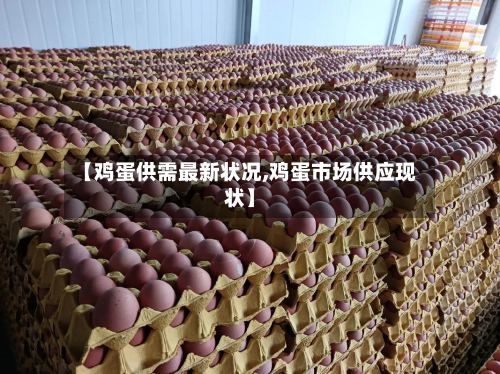 【鸡蛋供需最新状况,鸡蛋市场供应现状】