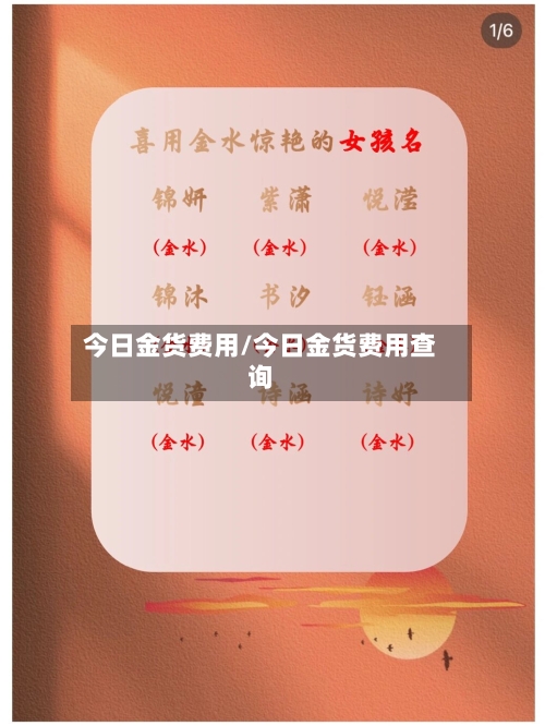 今日金货费用/今日金货费用查询