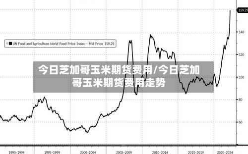 今日芝加哥玉米期货费用/今日芝加哥玉米期货费用走势-第3张图片