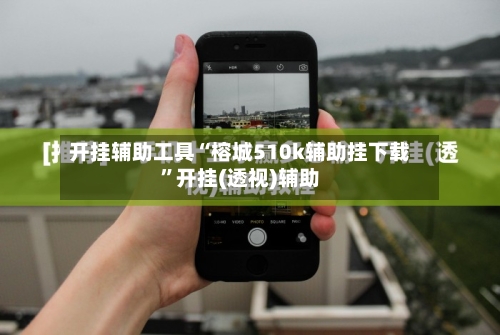 开挂辅助工具“榕城510k辅助挂下载”开挂(透视)辅助-第3张图片