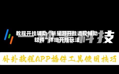 教程开挂辅助“新星游开挂透视辅助软件”详细开挂玩法-第3张图片