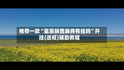 推荐一款“星辰陕西麻将有挂吗”开挂(透视)辅助教程