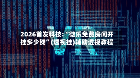 2026首发科技:“微乐免费房间开挂多少钱”(透视挂)辅助透视教程-第2张图片