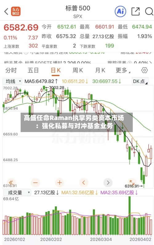 高盛任命Raman执掌另类资本市场：强化私募与对冲基金业务-第2张图片