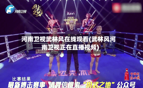 河南卫视武林风在线观看(武林风河南卫视正在直播视频)-第2张图片