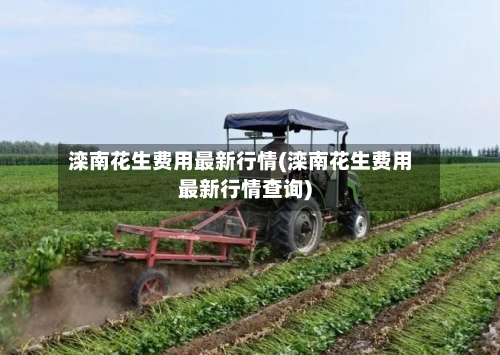 滦南花生费用最新行情(滦南花生费用最新行情查询)