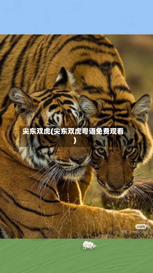 尖东双虎(尖东双虎粤语免费观看)