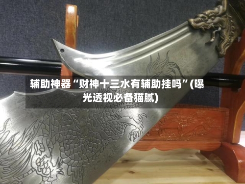 辅助神器“财神十三水有辅助挂吗”(曝光透视必备猫腻)-第2张图片