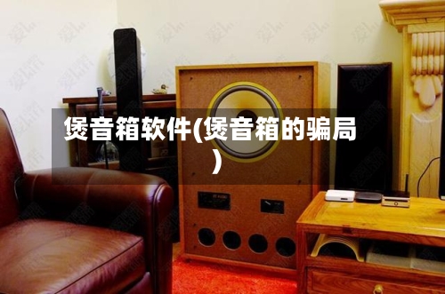 煲音箱软件(煲音箱的骗局)-第2张图片