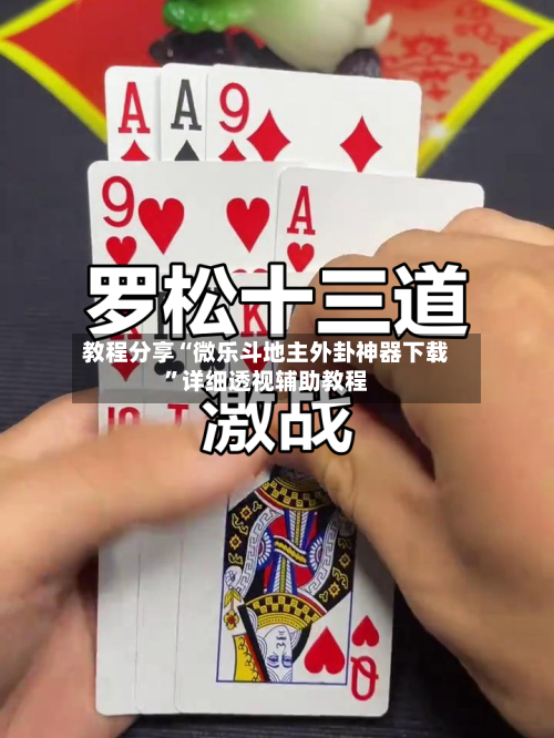 教程分享“微乐斗地主外卦神器下载	”详细透视辅助教程-第3张图片