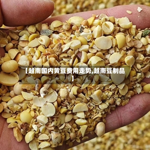 【越南国内黄豆费用走势,越南豆制品】-第2张图片