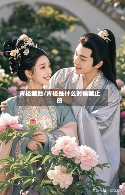 青楼禁地/青楼是什么时候禁止的-第2张图片