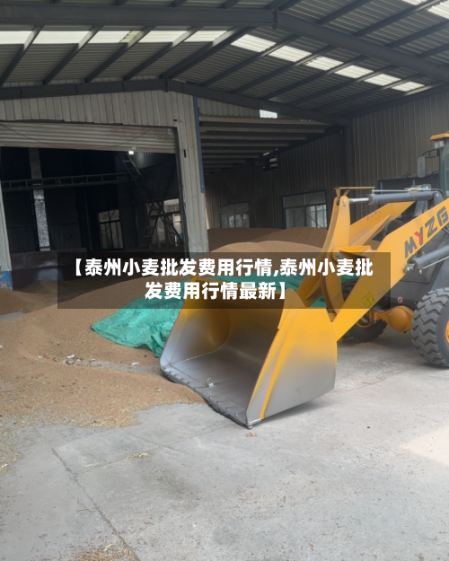 【泰州小麦批发费用行情,泰州小麦批发费用行情最新】-第2张图片
