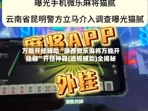 万能开挂辅助“陕西微乐麻将万能开挂器”开挂神器{透视辅助}全揭秘-第2张图片