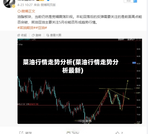 菜油行情走势分析(菜油行情走势分析最新)