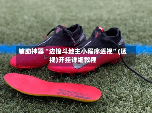 辅助神器“边锋斗地主小程序透视”(透视)开挂详细教程-第2张图片