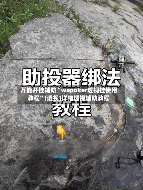 万能开挂辅助“wepoker透视挂使用教程”(透视)详细透视辅助教程