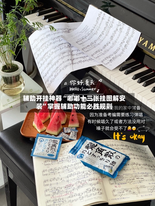 辅助开挂神器“嘟嘟十三张挂图解安装	”掌握辅助功能必胜规则-第2张图片