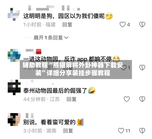 辅助教程“熊猫麻将外卦神器下载安装	”详细分享装挂步骤教程-第2张图片