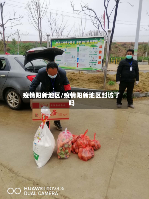 疫情阳新地区/疫情阳新地区封城了吗-第2张图片