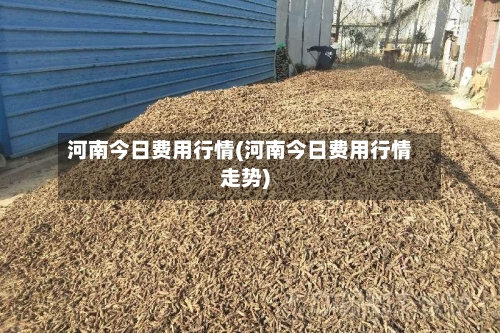 河南今日费用行情(河南今日费用行情走势)-第3张图片