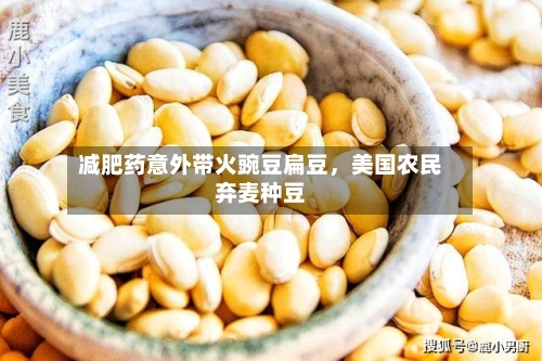 减肥药意外带火豌豆扁豆，美国农民弃麦种豆-第2张图片