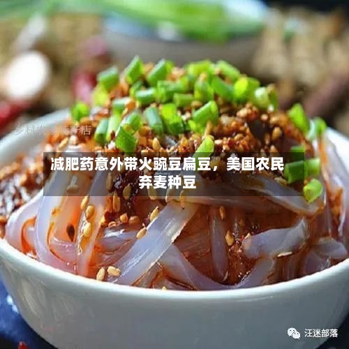 减肥药意外带火豌豆扁豆，美国农民弃麦种豆-第3张图片