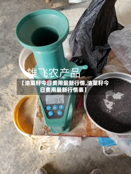 【油菜籽今日费用最新行情,油菜籽今日费用最新行情表】