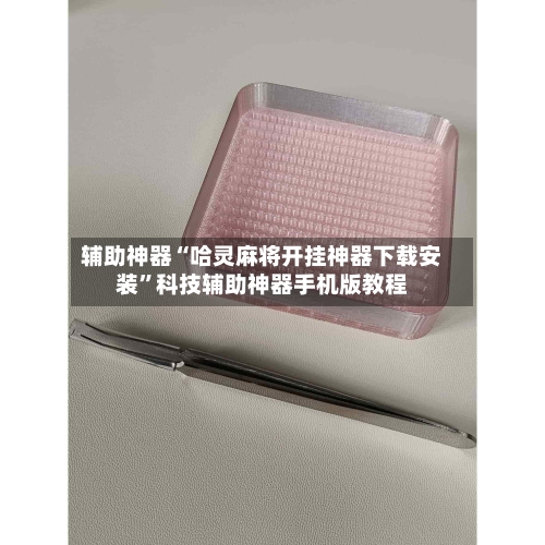 辅助神器“哈灵麻将开挂神器下载安装”科技辅助神器手机版教程-第3张图片